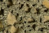 Golden Pyrite on Limonite Clay - Pakistan #337945-2
